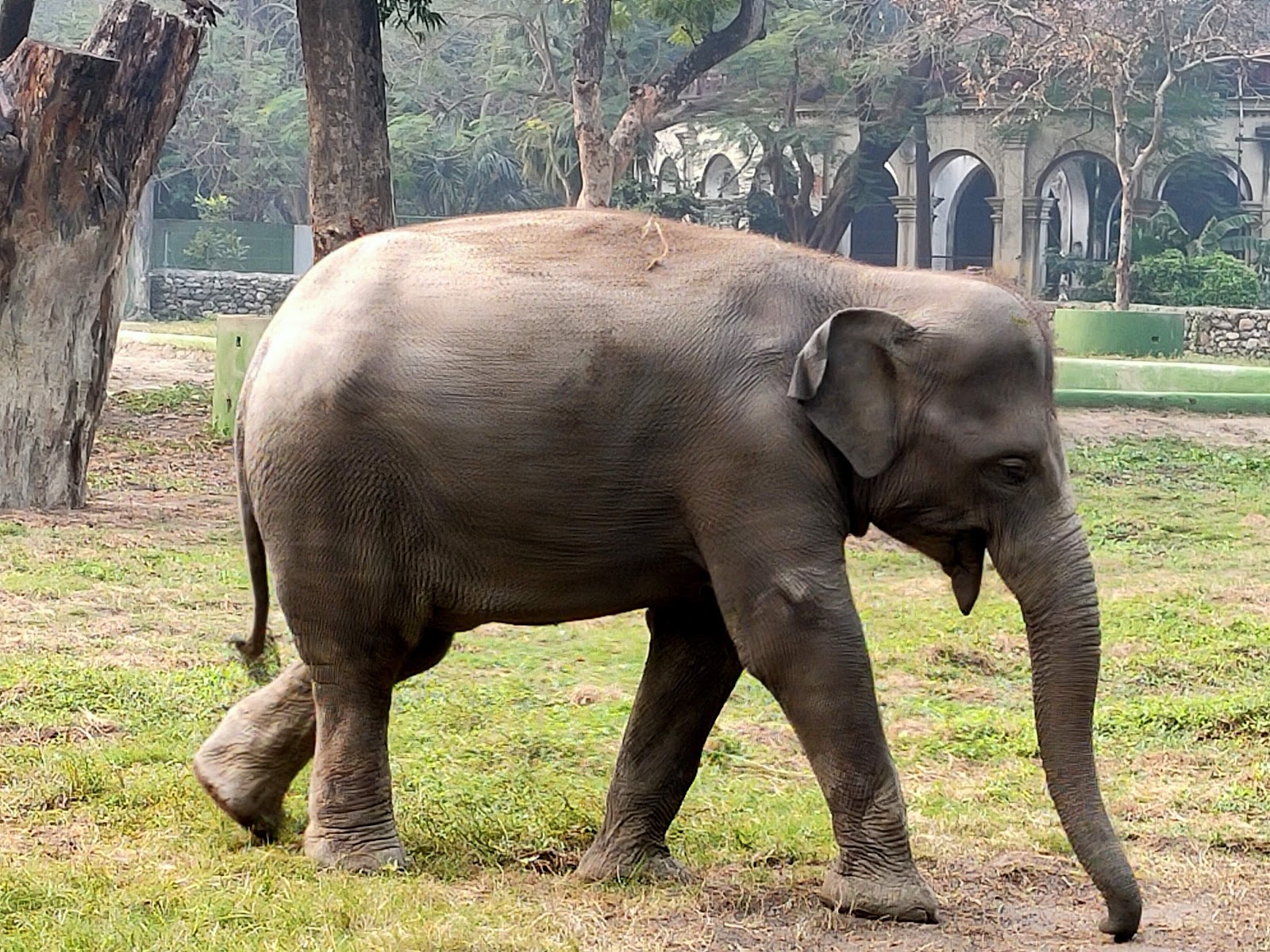 Kolkata Zoo