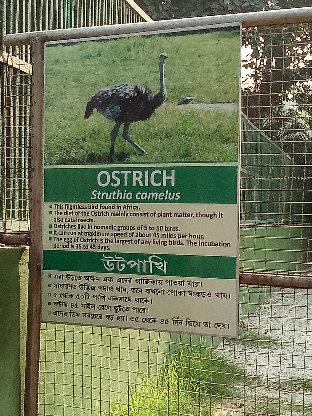 Kolkata Zoo