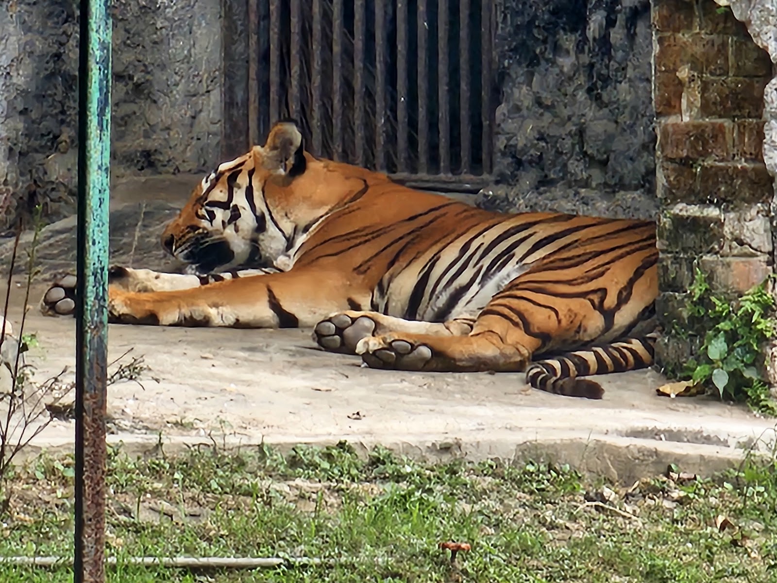 Kolkata Zoo