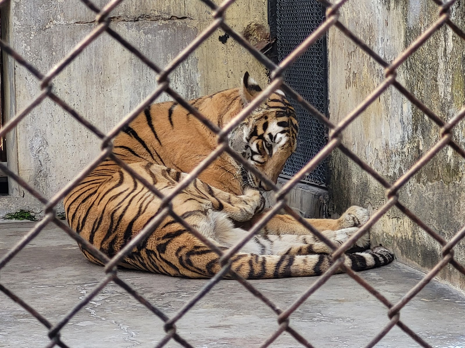 Kolkata Zoo