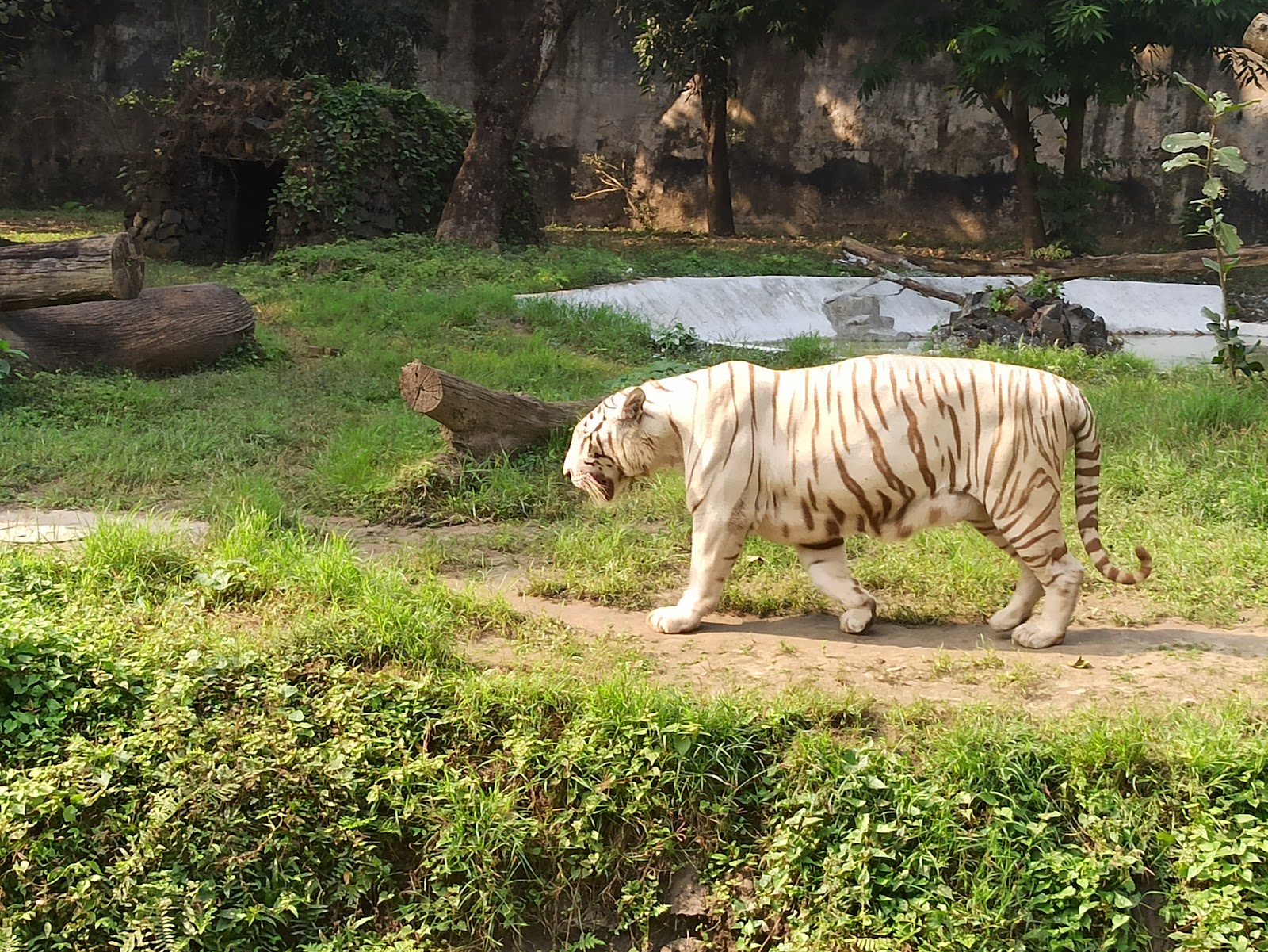 Kolkata Zoo