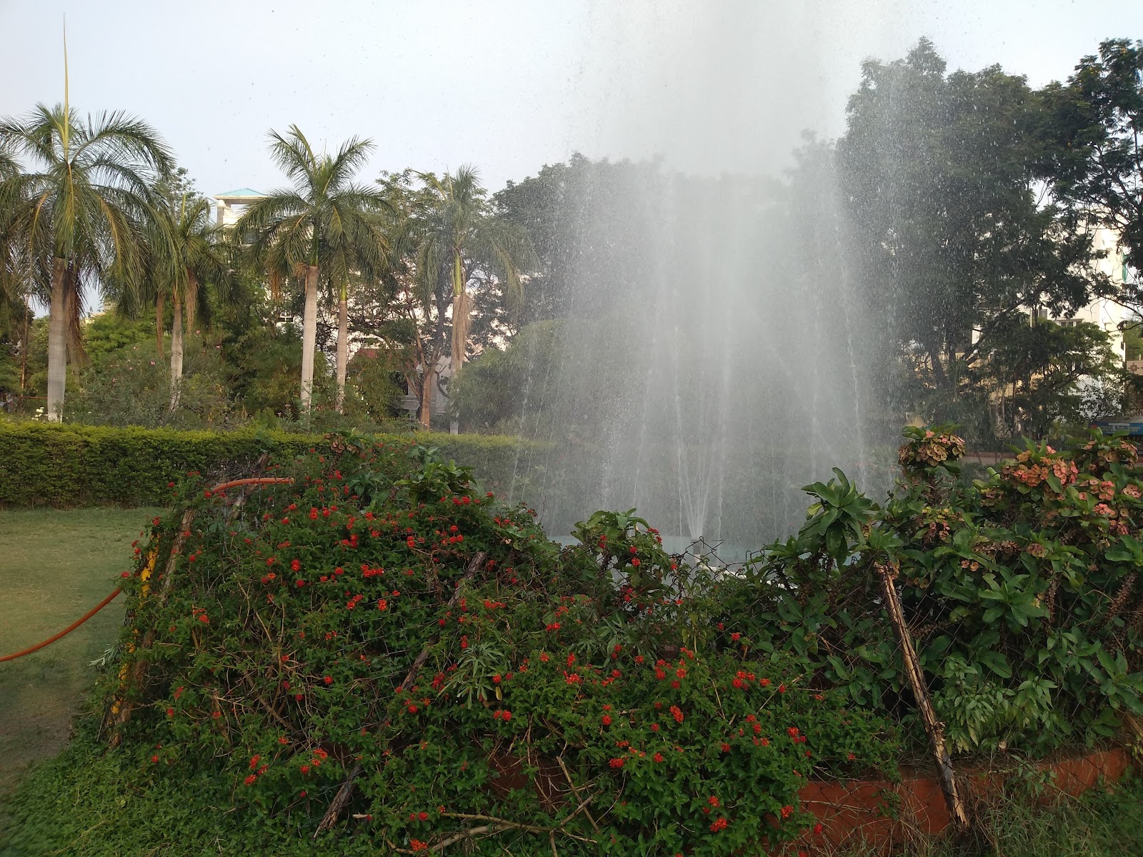 Kakatiya Park