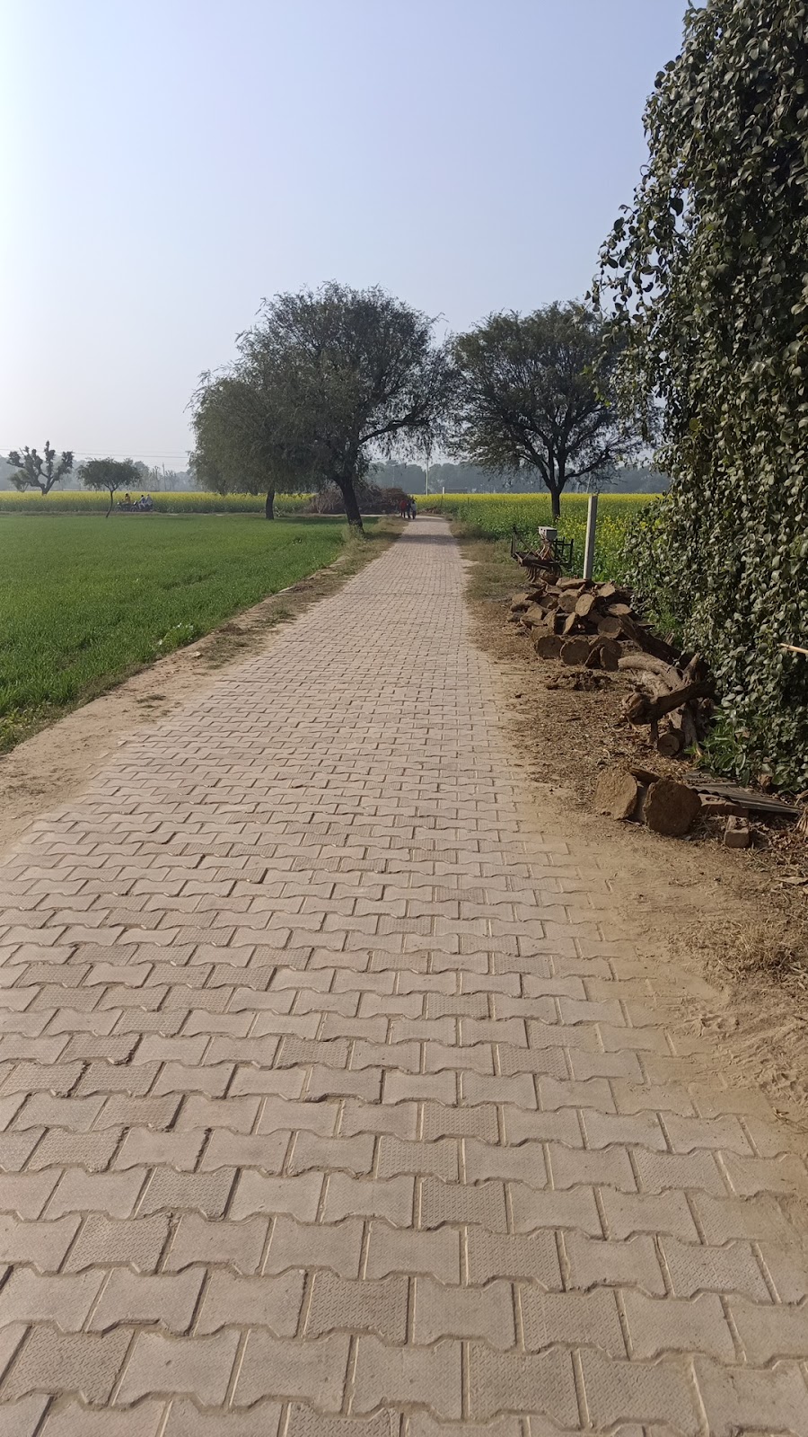 Dawoodi Bohra Mosque