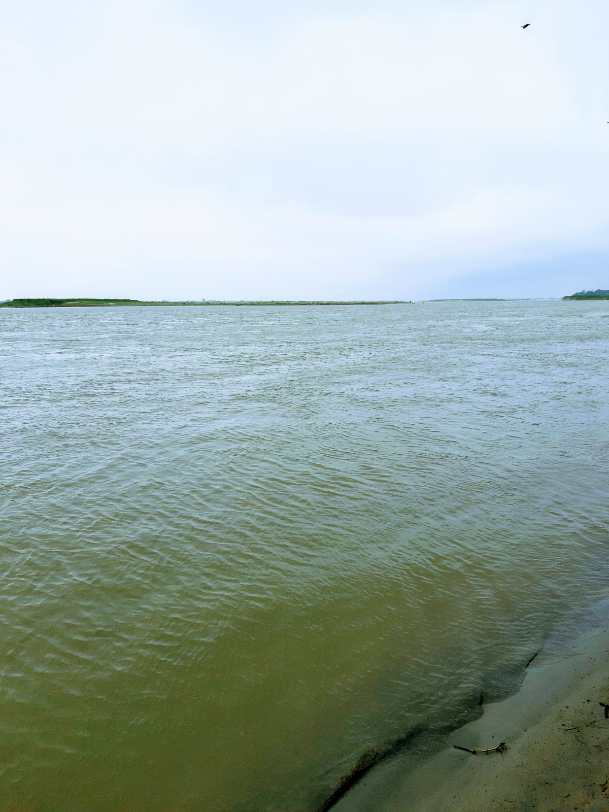 Sikanderpur Viewpoint