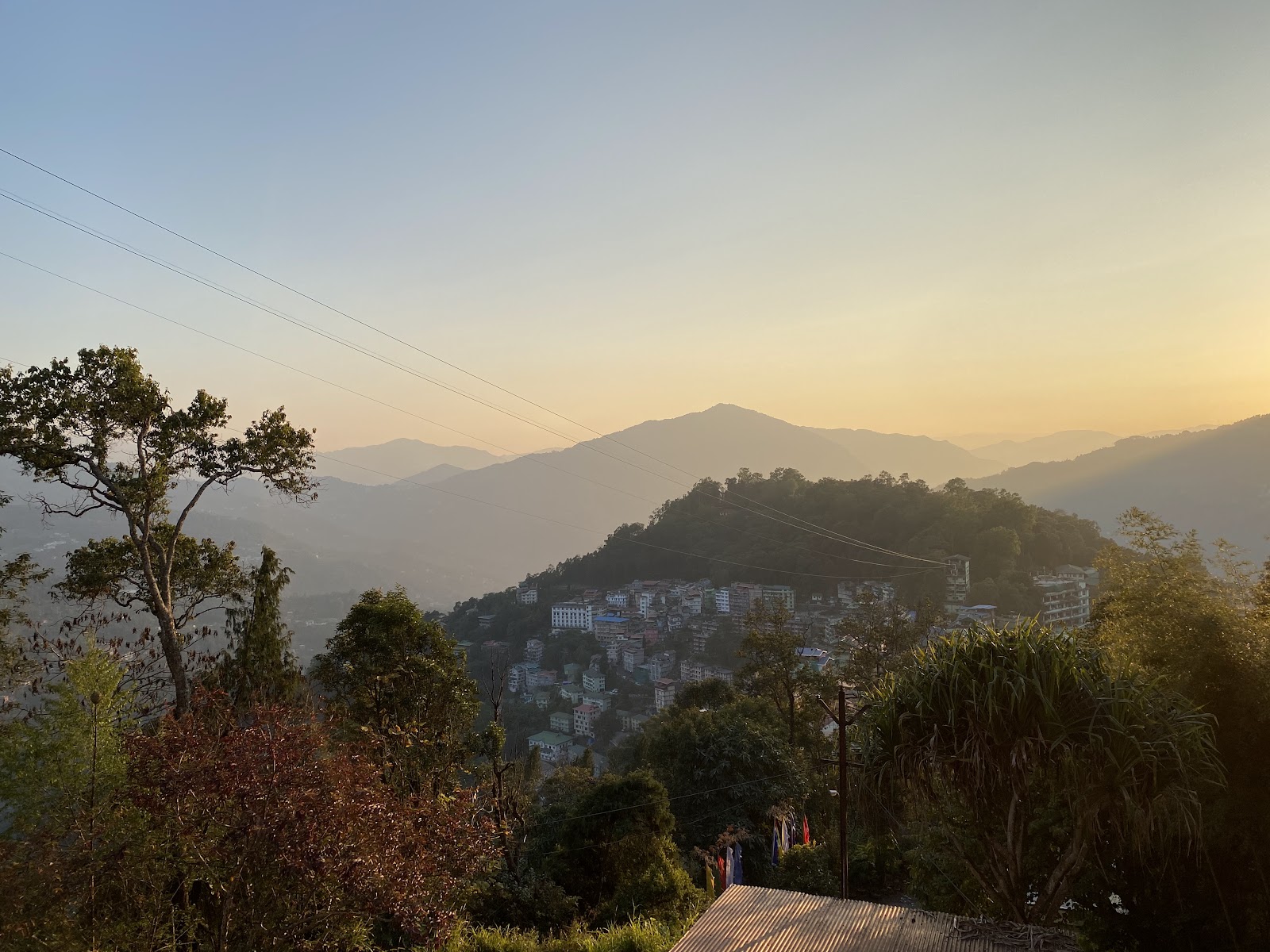 Sikkim Himalayan Zoo - A Wildlife Sanctuary in Gangtok