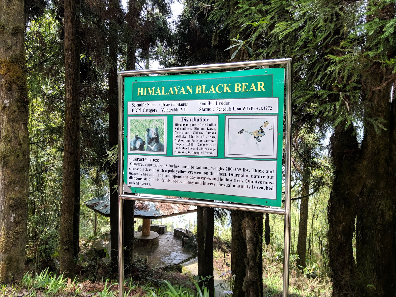 Sikkim Himalayan Zoological Park