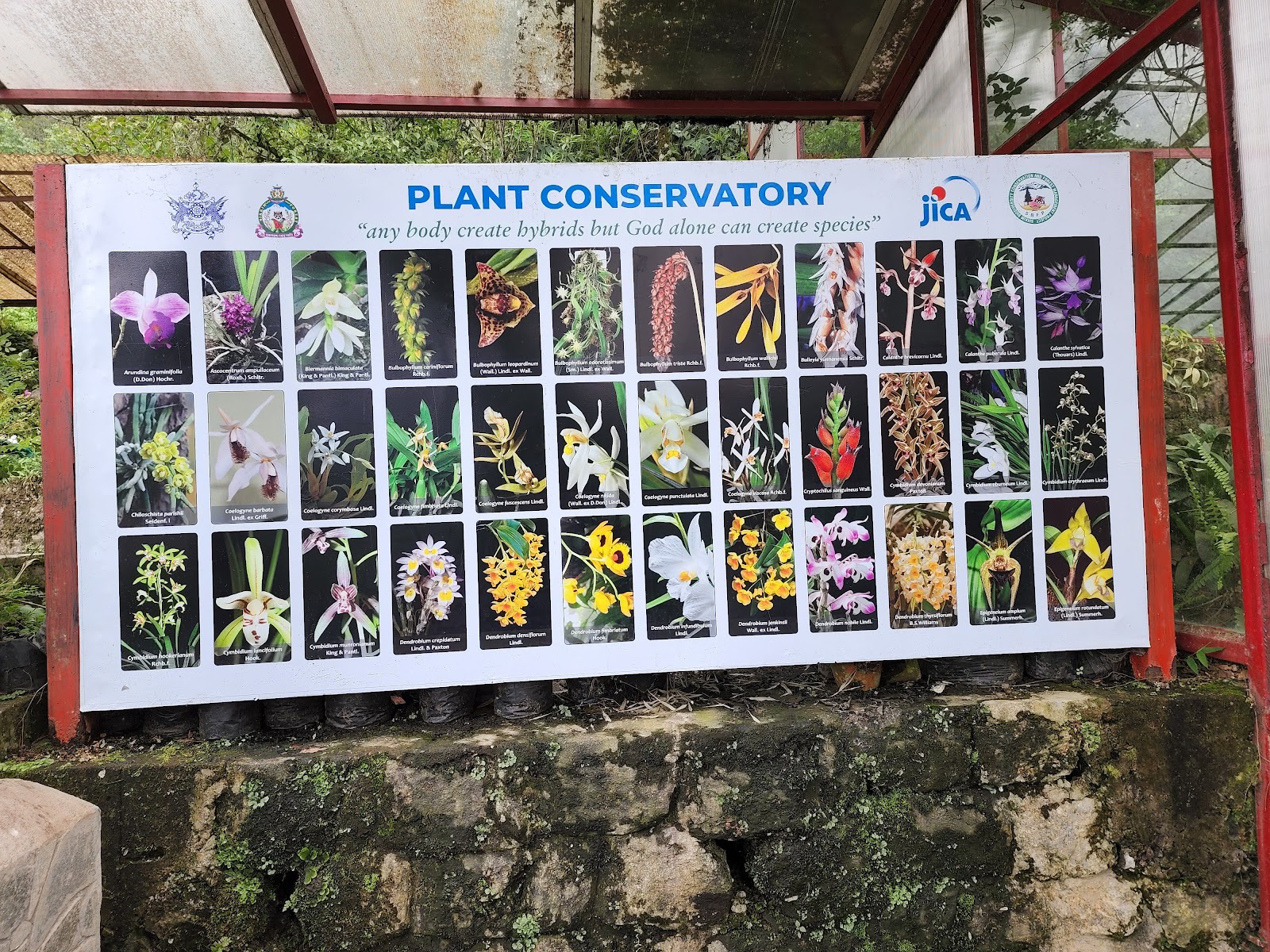 Sikkim Himalayan Zoological Park