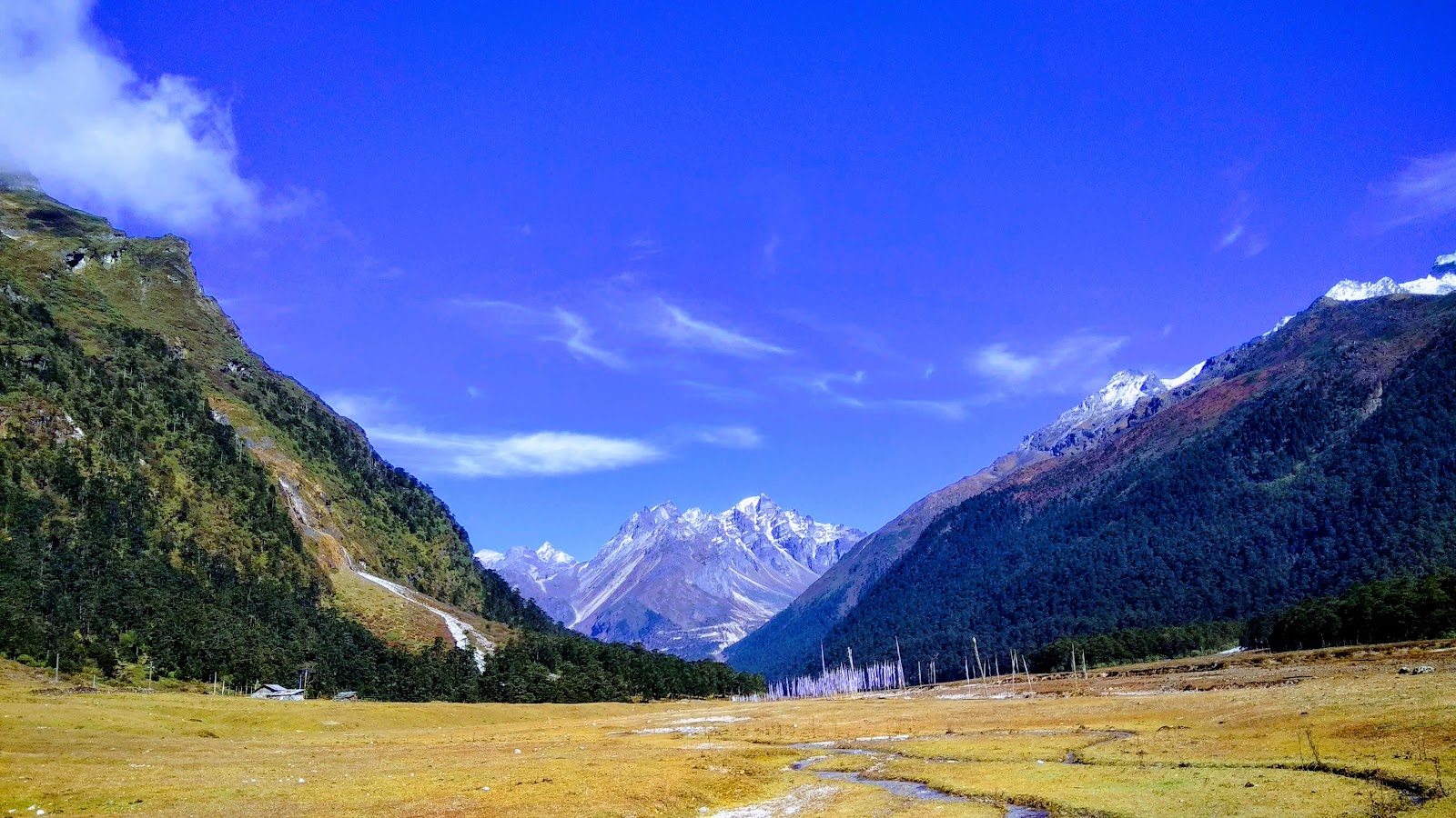 Yumthang Valley