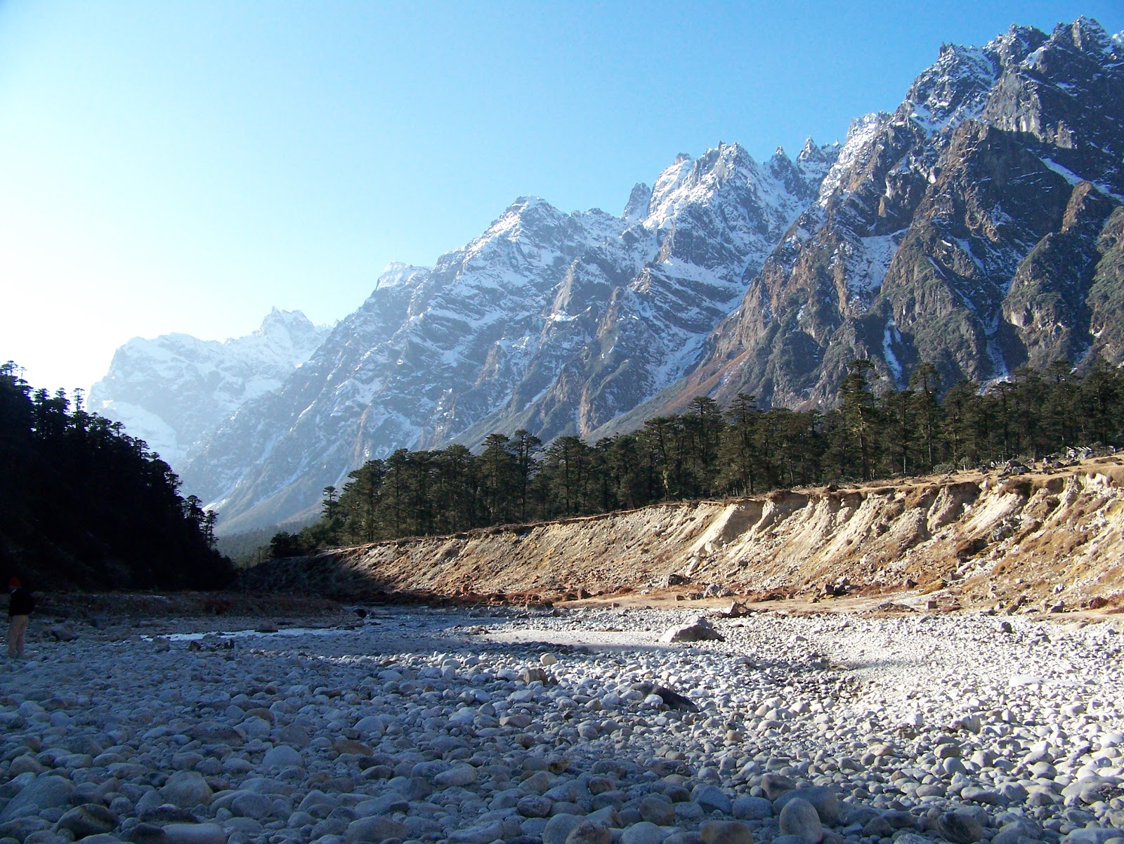 Yumthang Valley