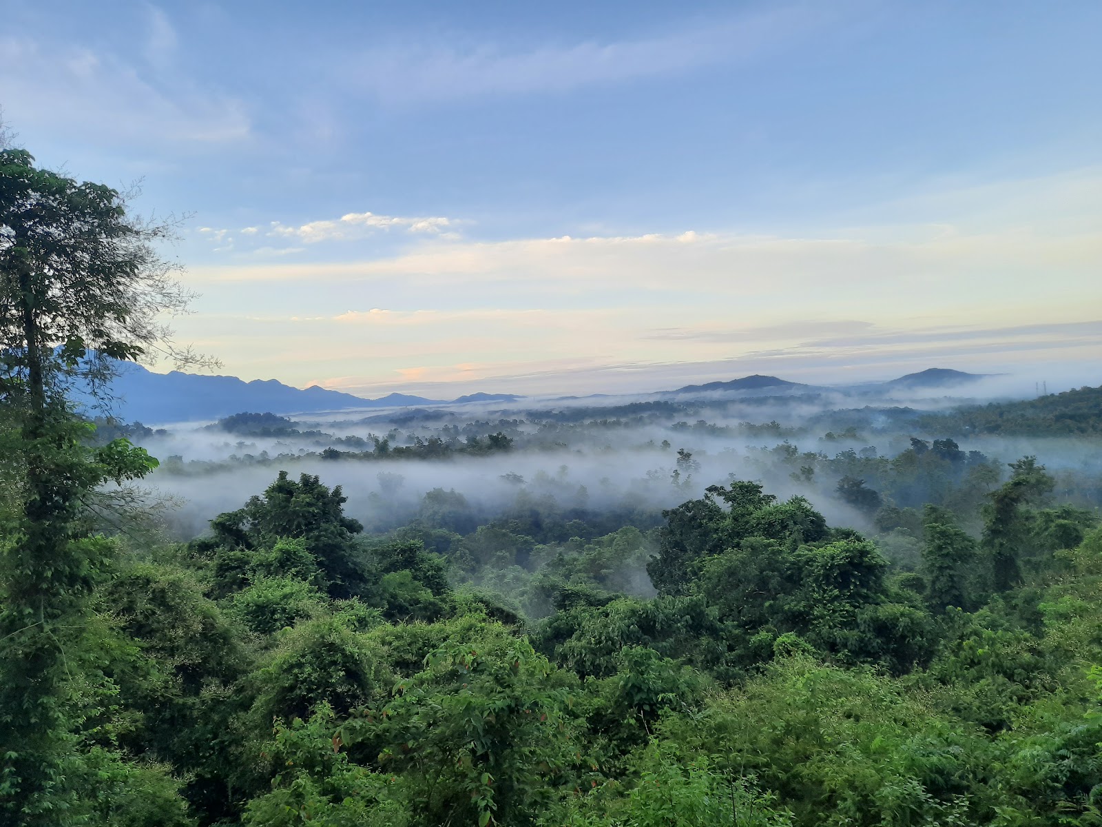 New Amarambalam Wildlife Sanctuary