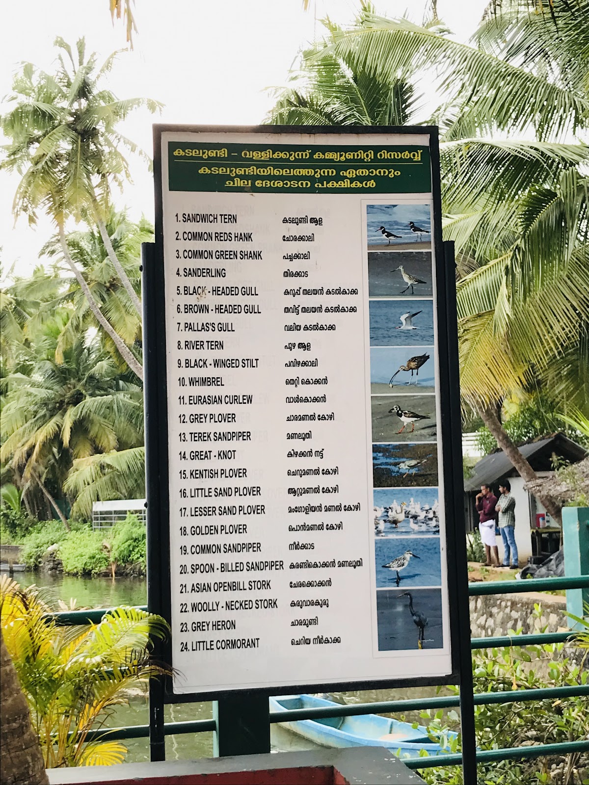 Kadalundi Bird Sanctuary (day trip)