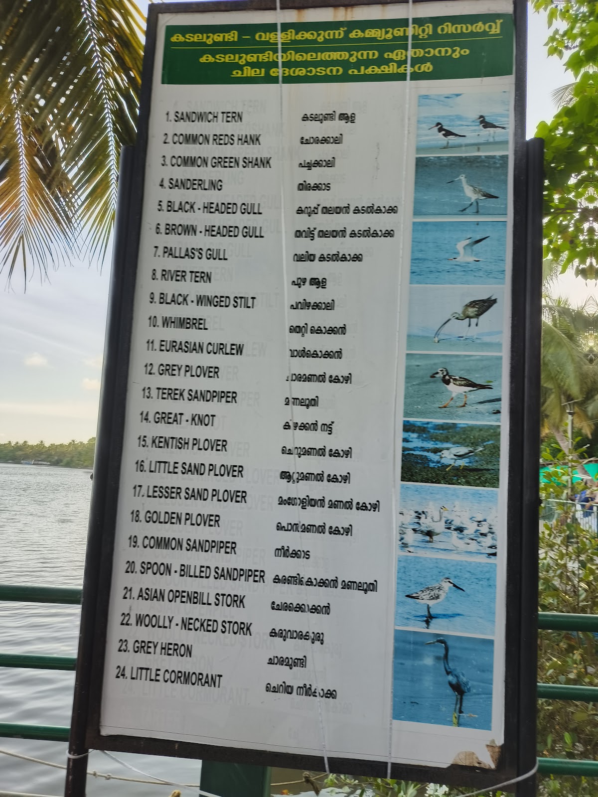 Kadalundi Bird Sanctuary (day trip)