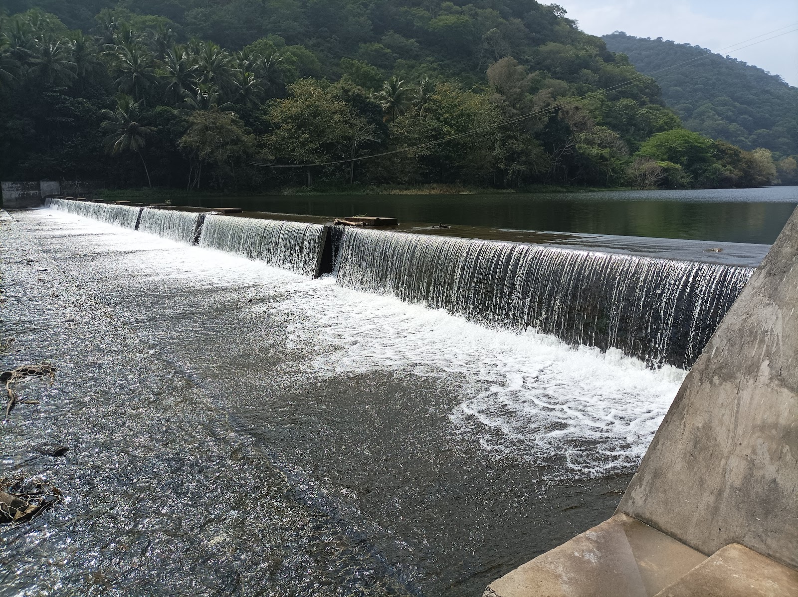 Mukkali Forest Station
