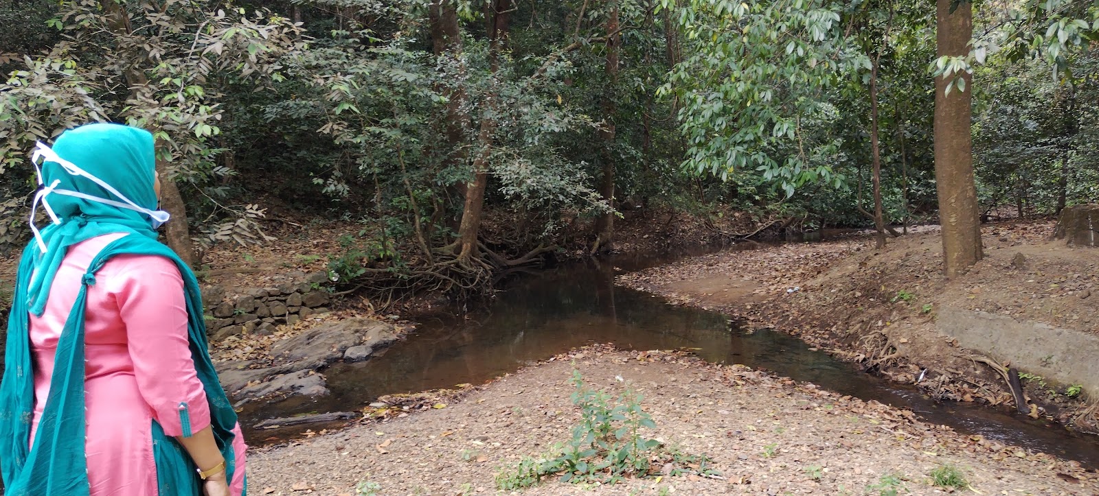 Mukkali Forest Station