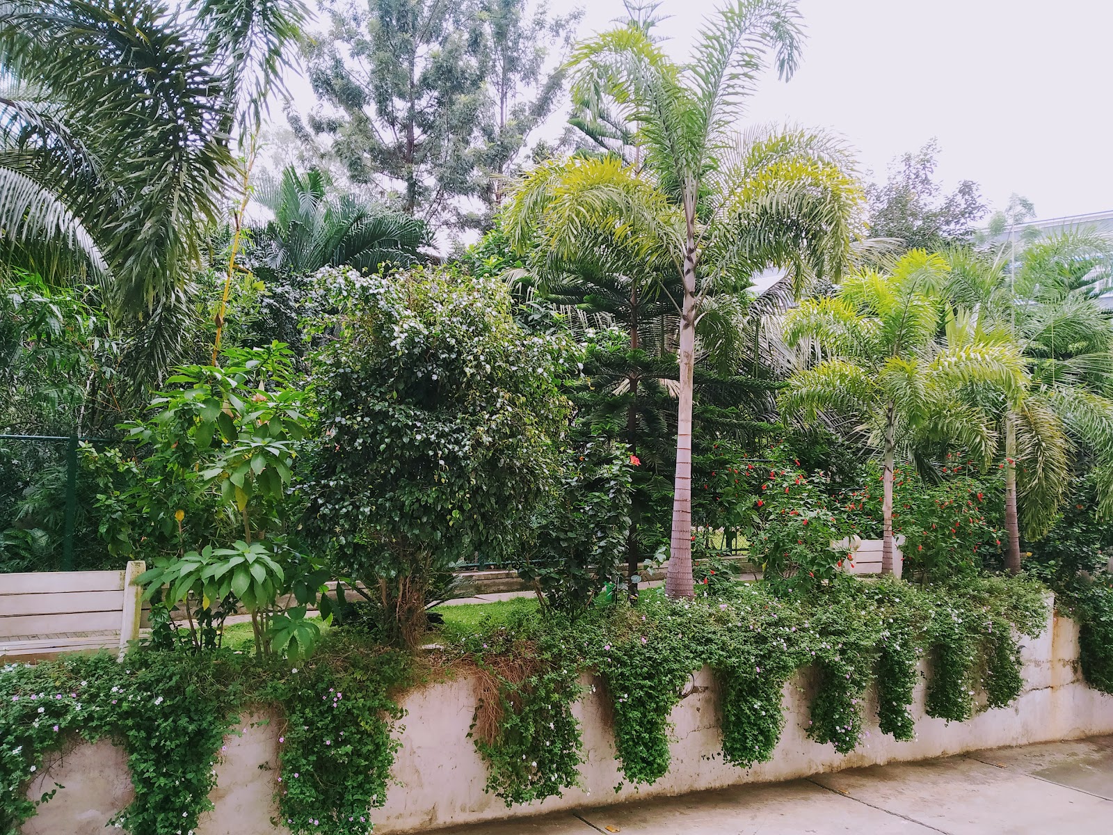 Mukkali Forest Station
