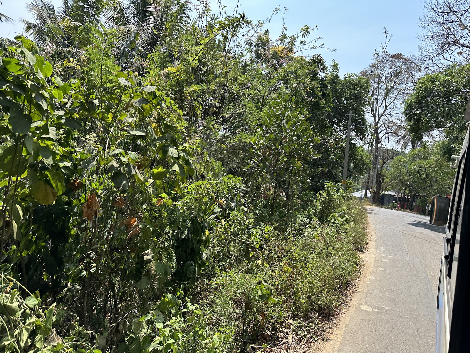 Mukkali Forest Station