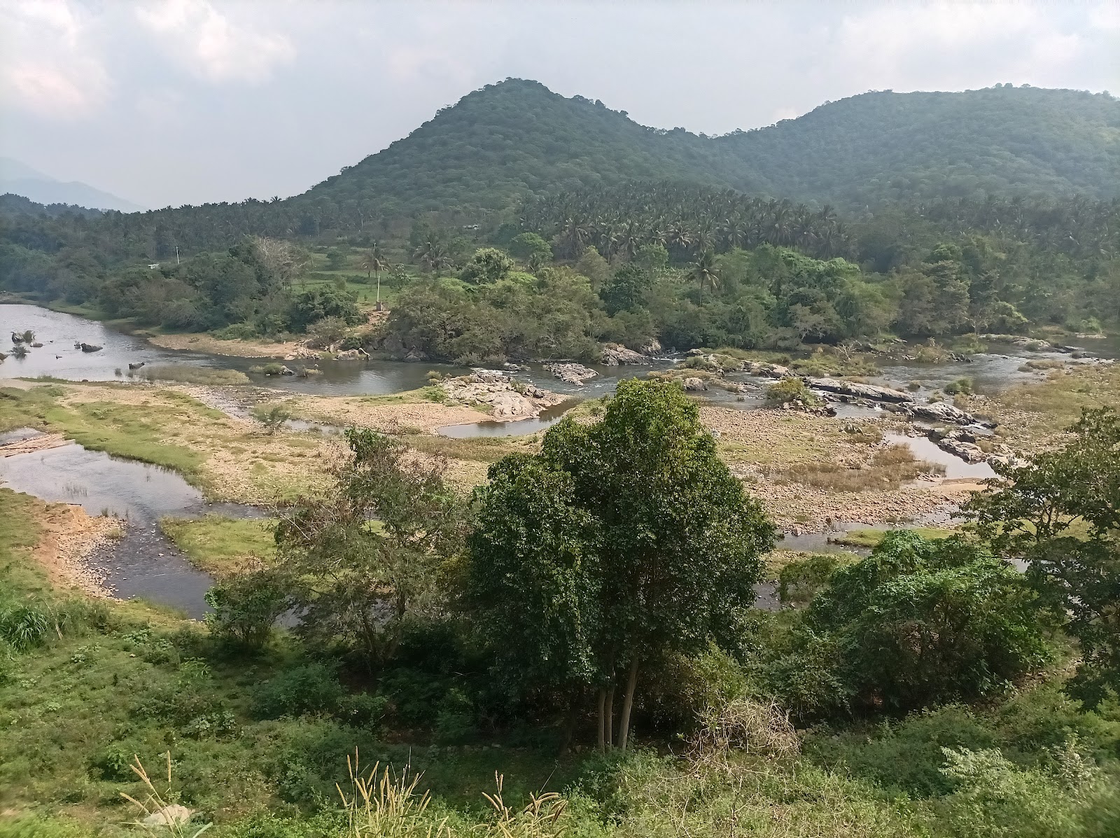 Mukkali Forest Station