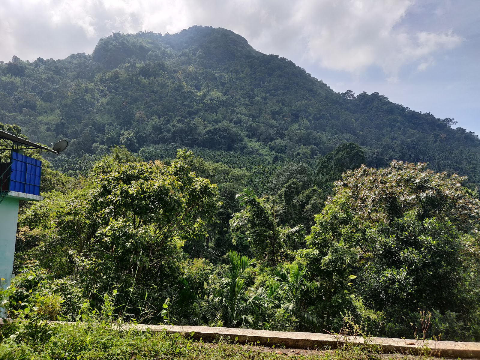 New Amarambalam Reserved Forest