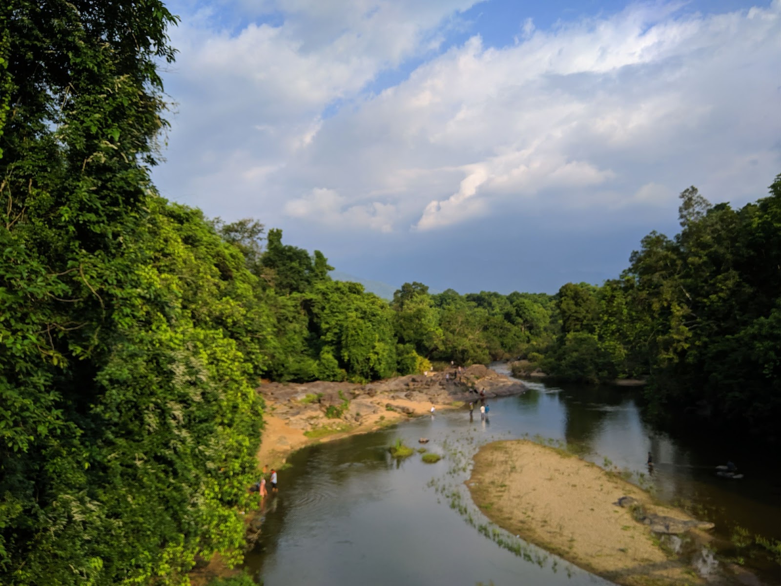 New Amarambalam Reserved Forest
