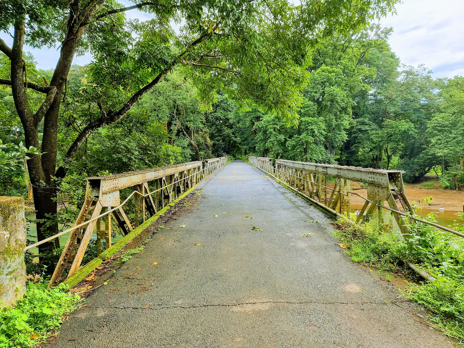New Amarambalam Reserved Forest