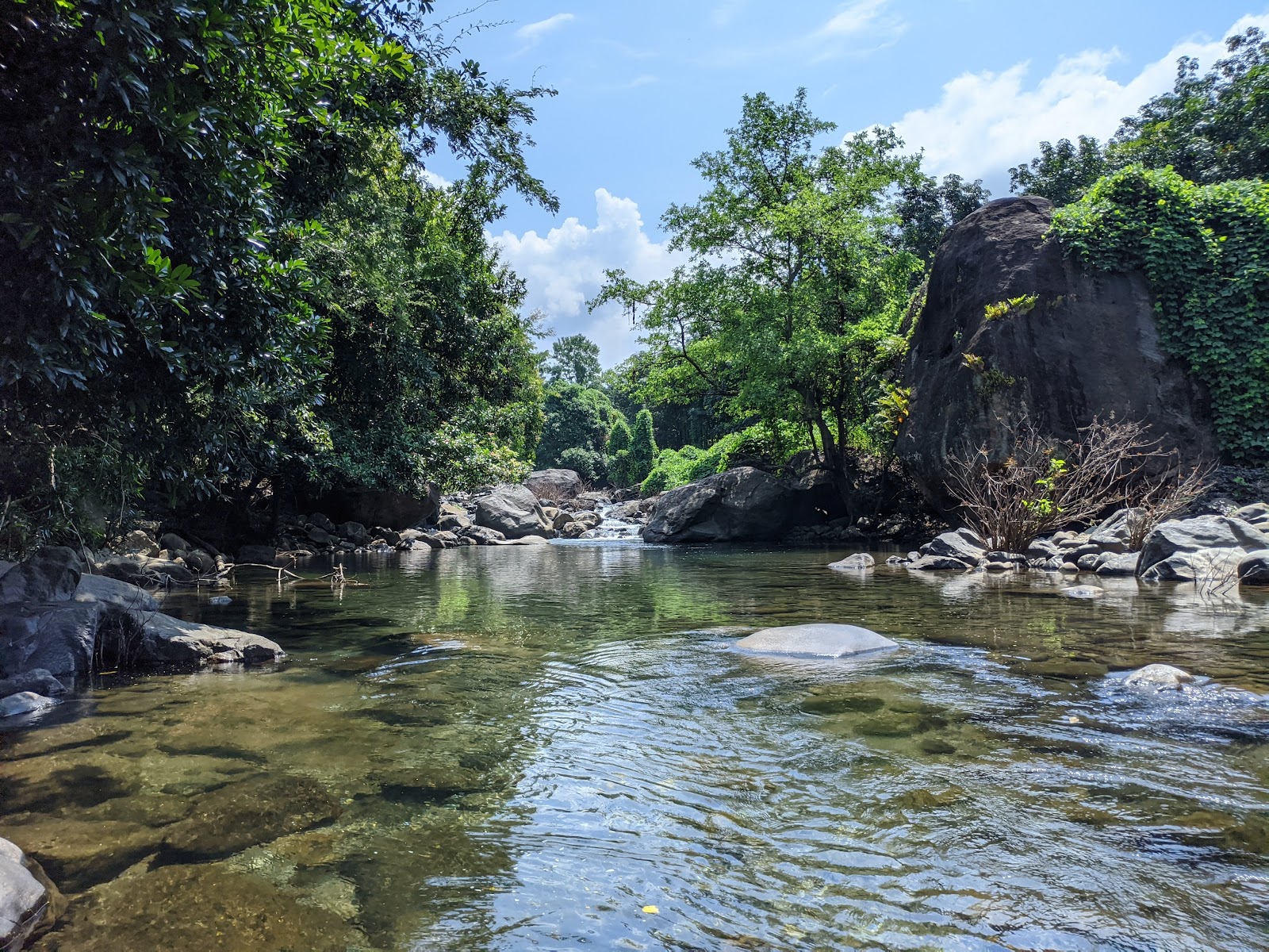 New Amarambalam Reserved Forest