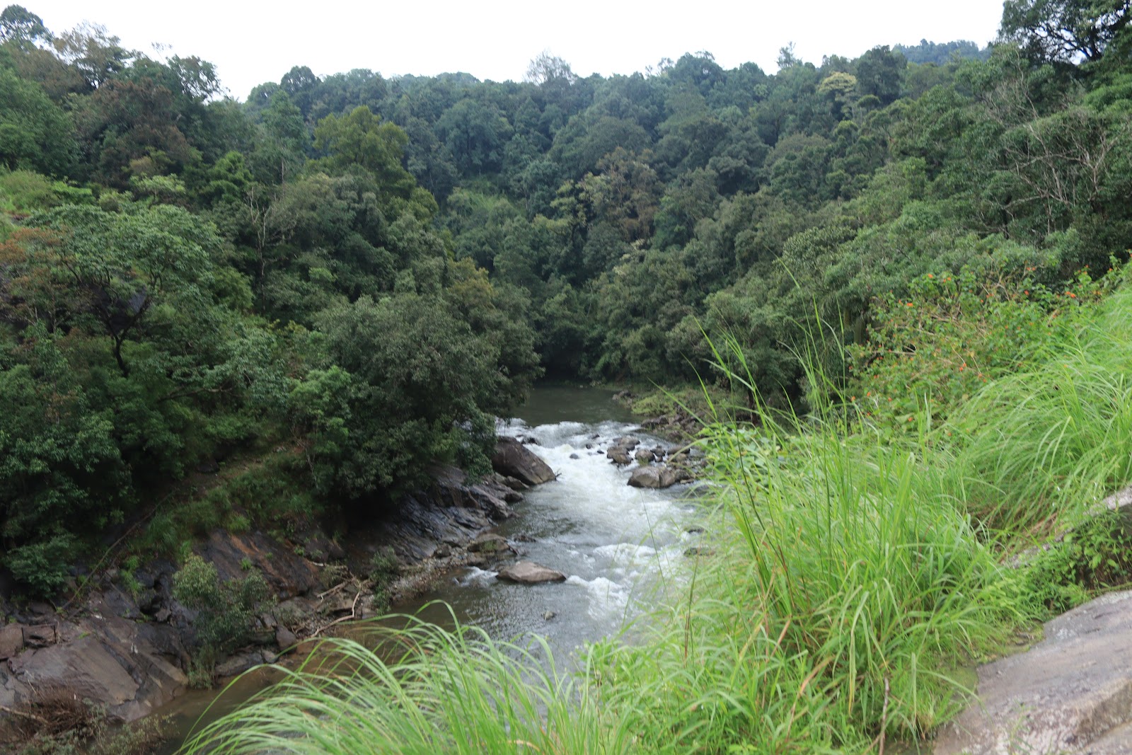 Silent Valley National Park
