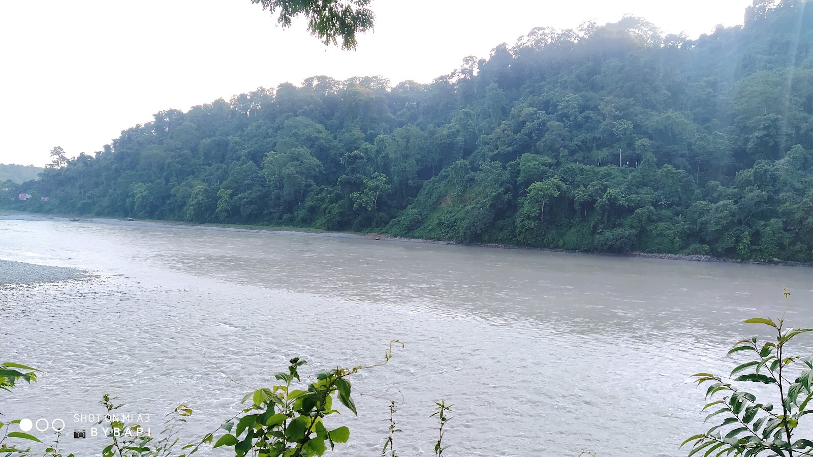 Mahananda Wildlife Sanctuary