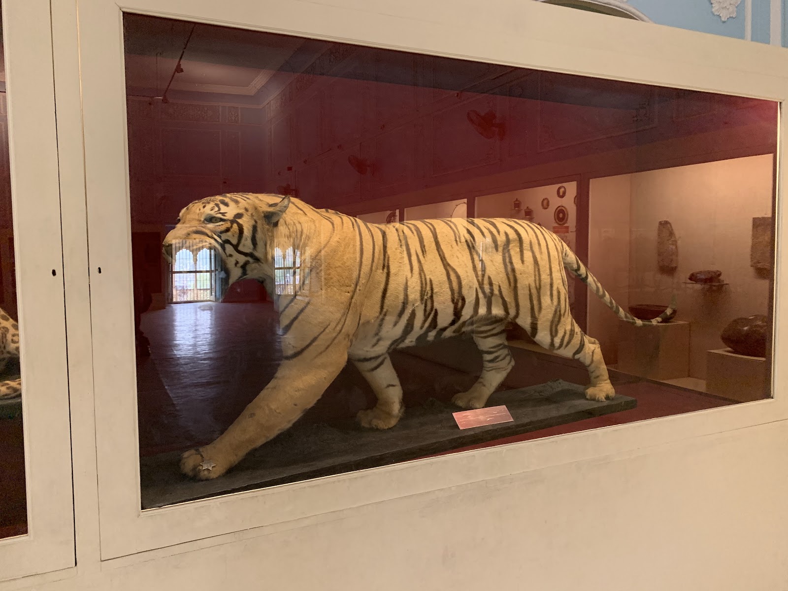 Government Museum Alwar