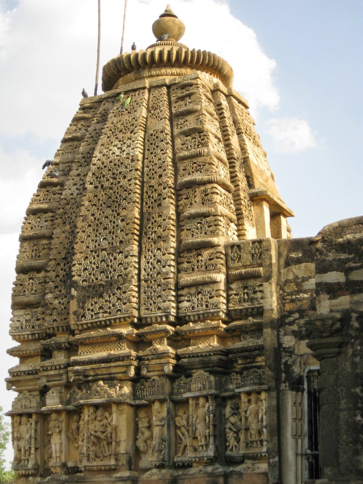 Sariska National Park