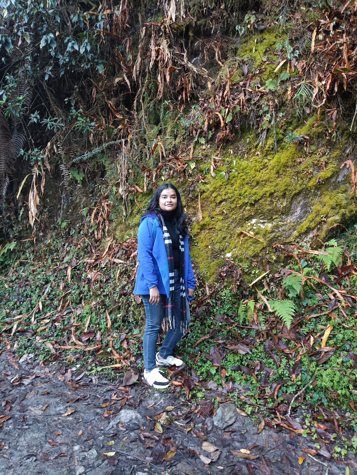 Ramitey Dara View Point