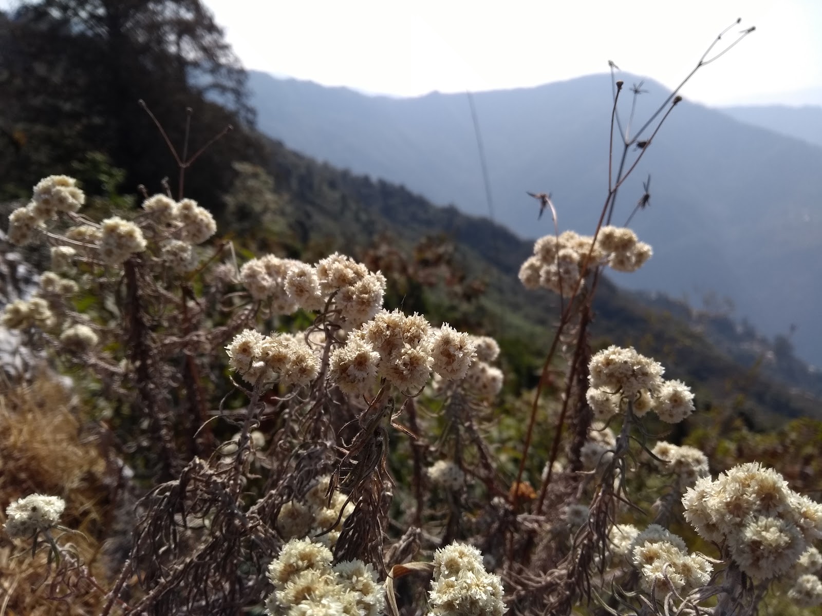 Ramitey Dara View Point