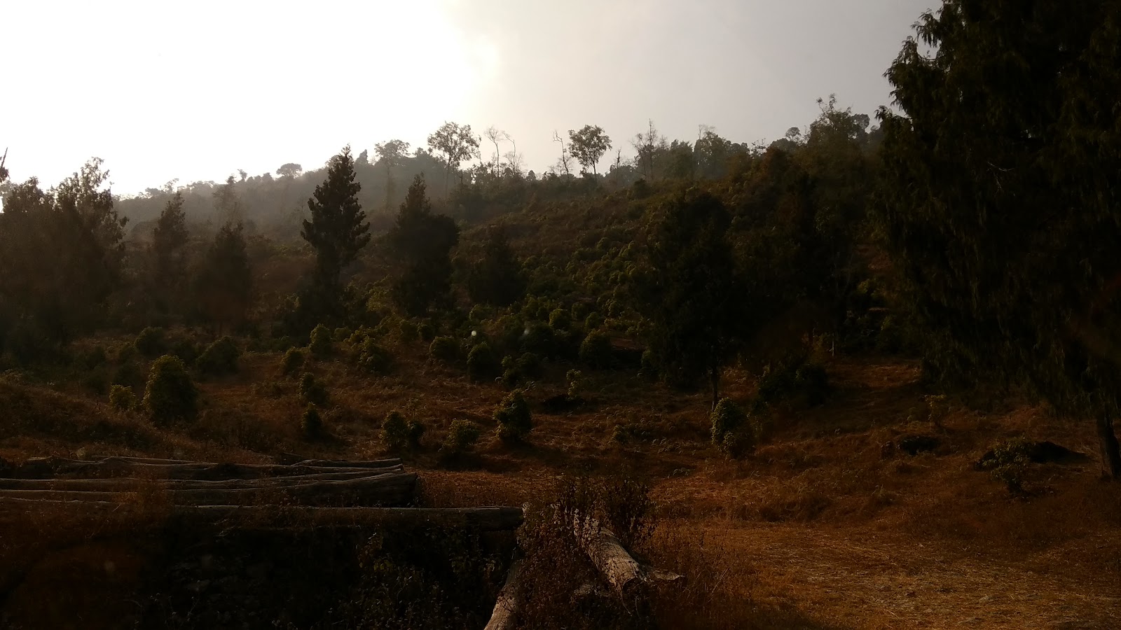 Sillery Gaon, West Bengal: Serene Village, Himalayan Views & Homestays