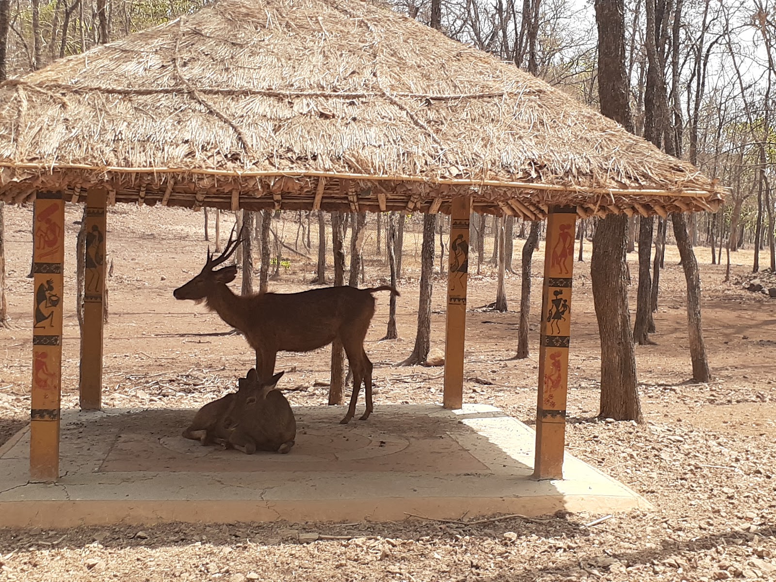 Silvassa Deer Park
