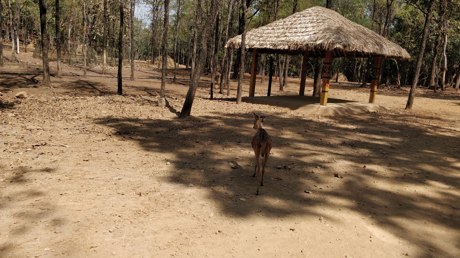 Silvassa Deer Park