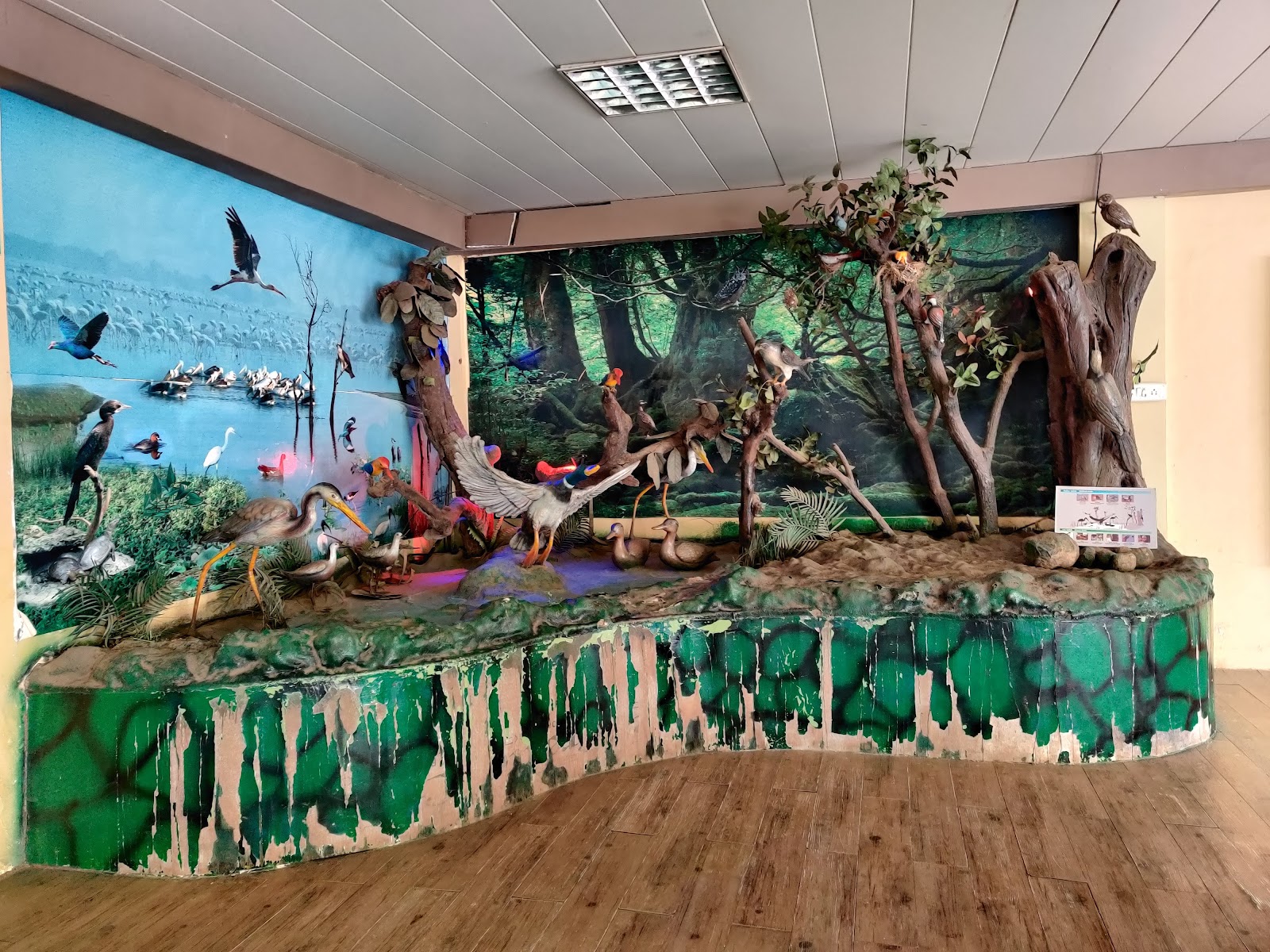 Tribal Cultural Museum