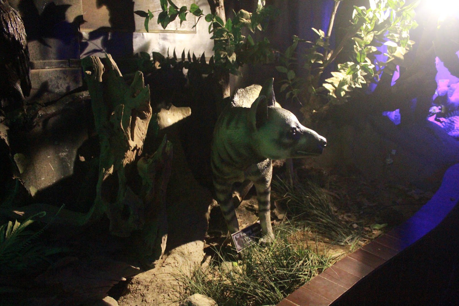 Tribal Cultural Museum