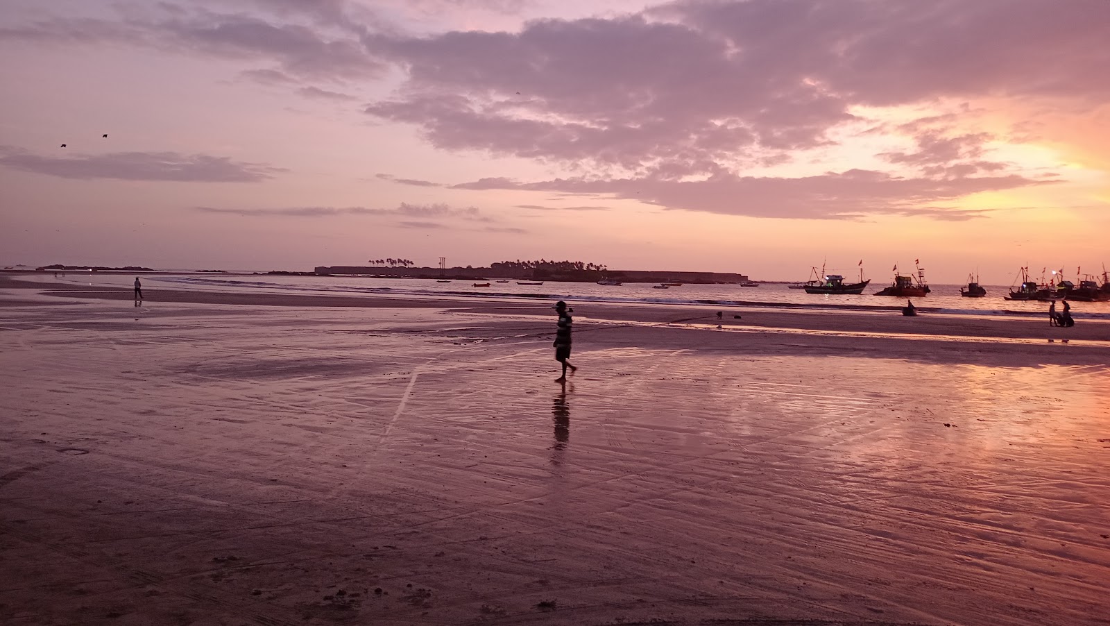 Local Fish Market Malvan