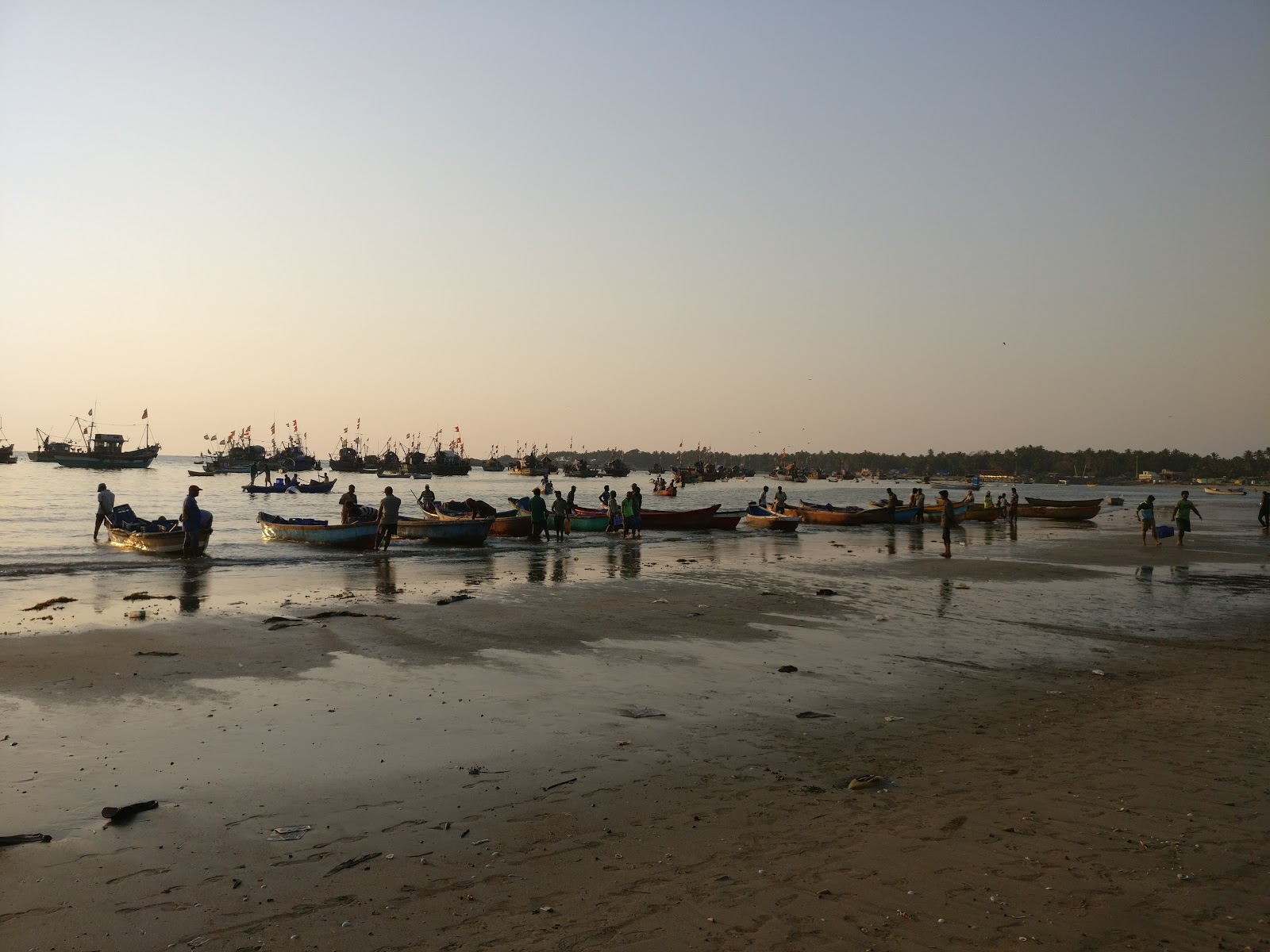 Local Fish Market Malvan