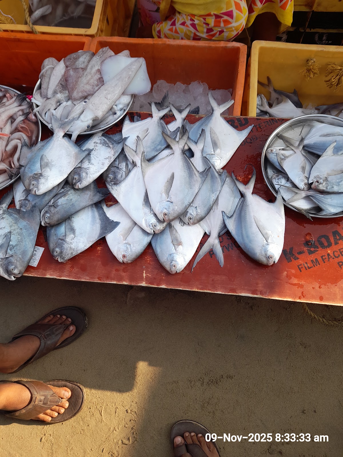 Local Fish Market Malvan
