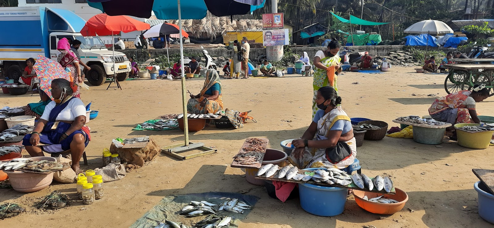 Local Fish Market Malvan