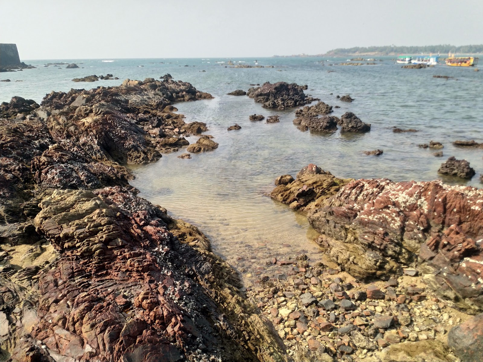 Local Fish Market Malvan