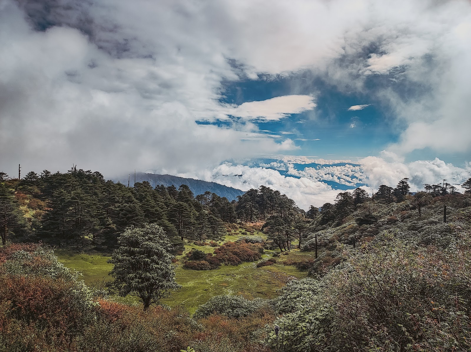 Singalila National Park