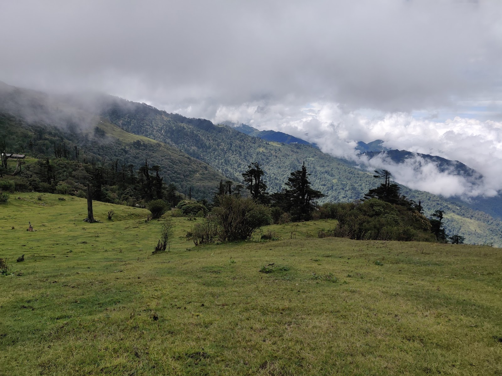 Singalila National Park