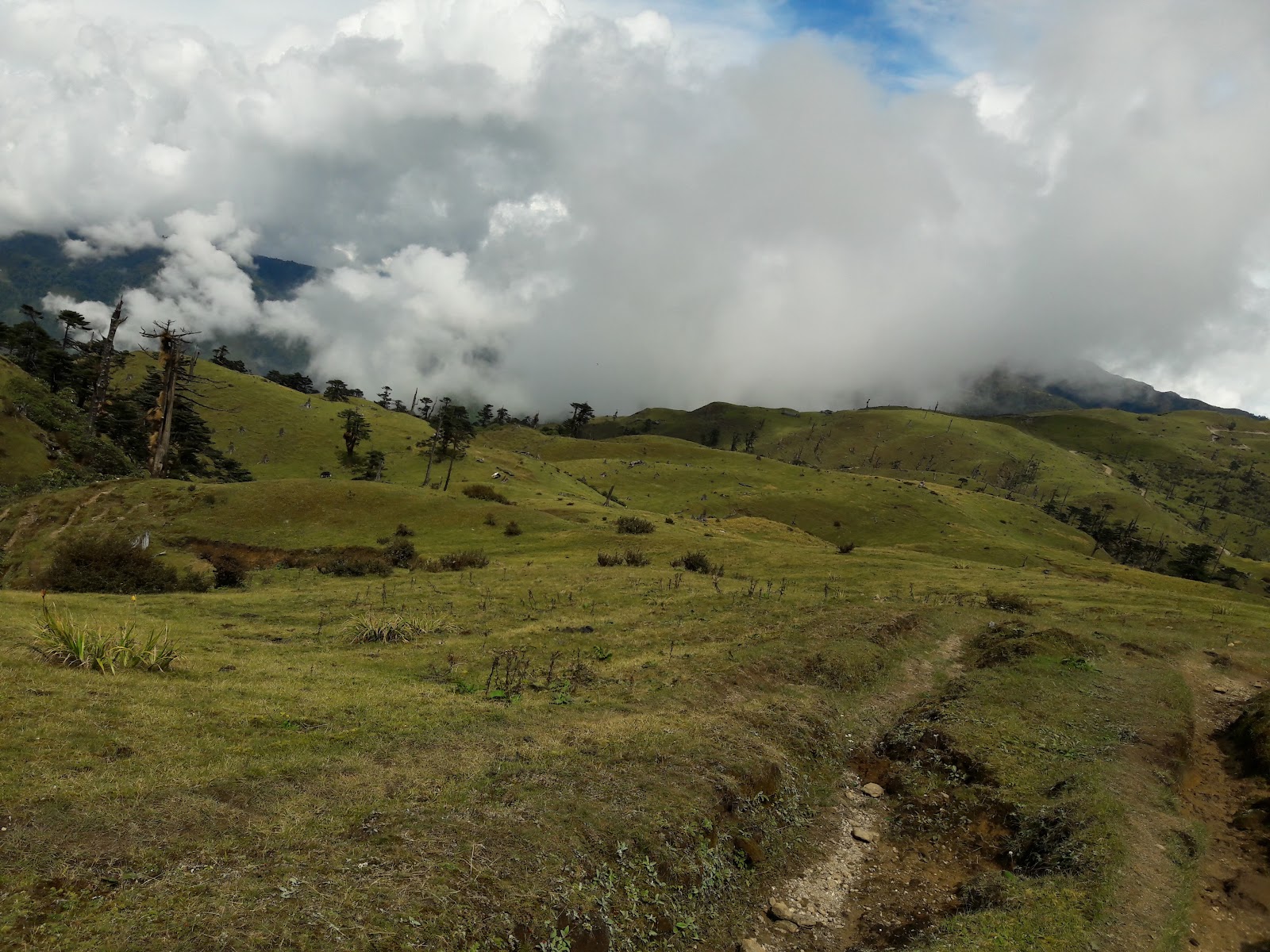 Singalila National Park