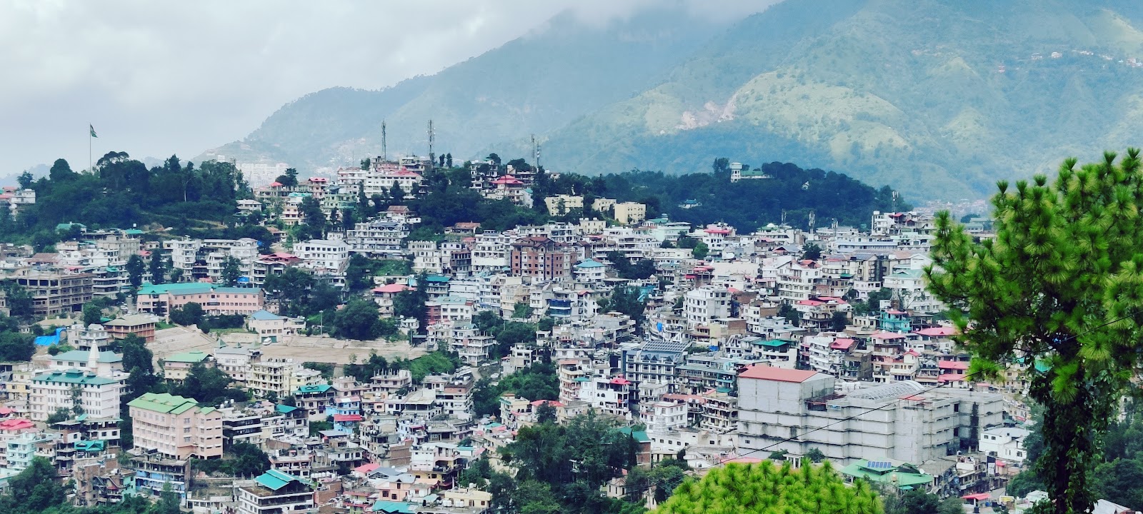 Solan