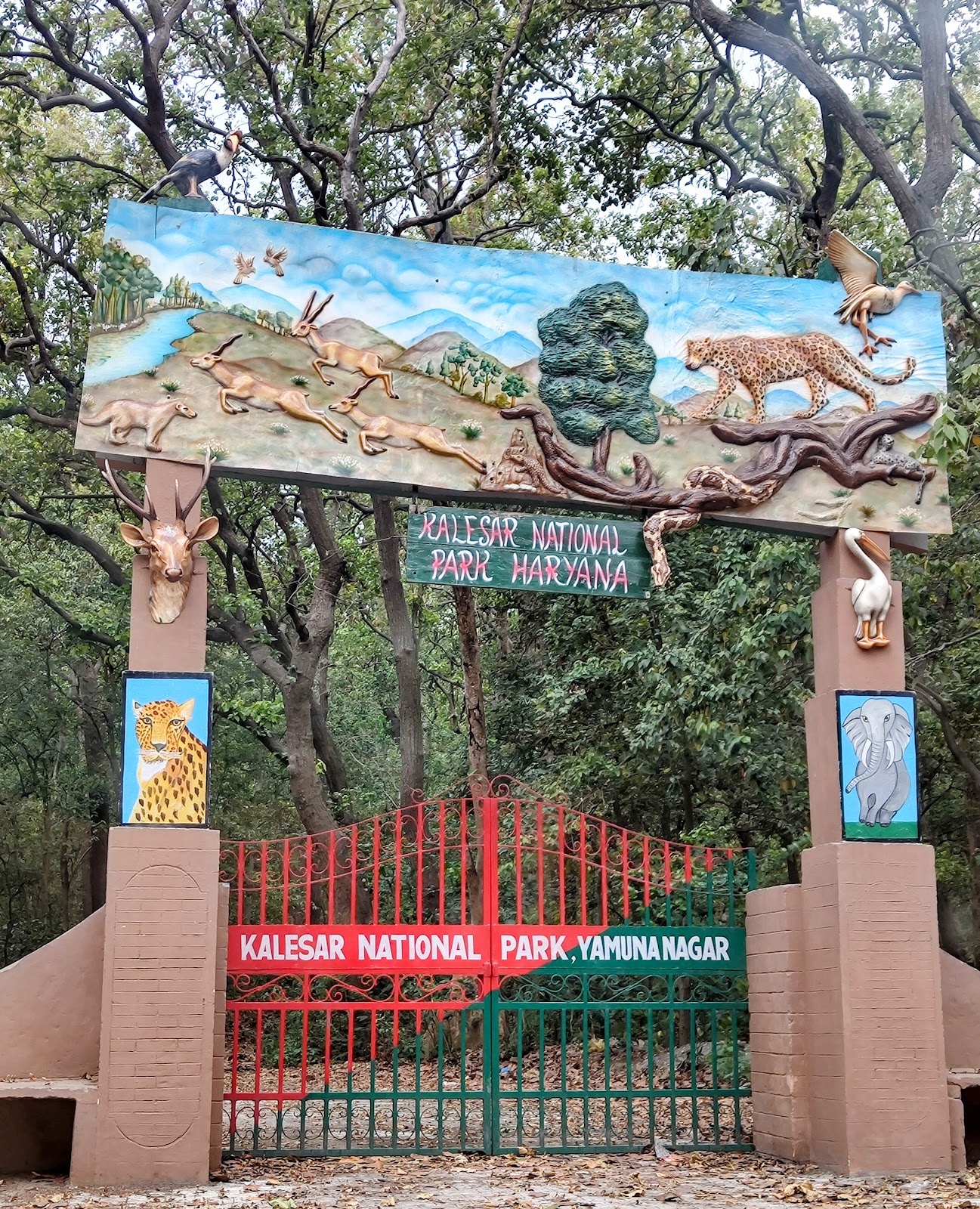 Kalesar National Park