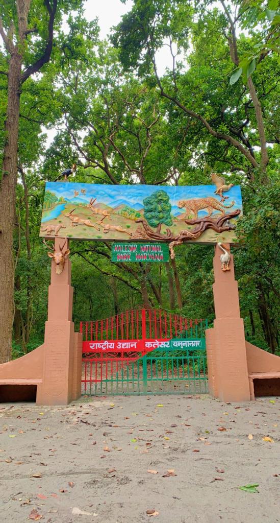 Kalesar National Park