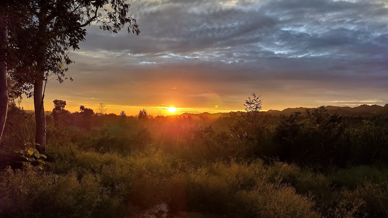 Kalesar National Park