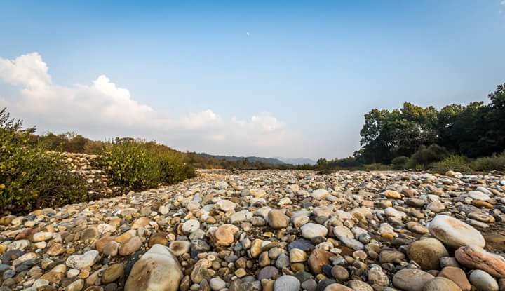 Kalesar National Park