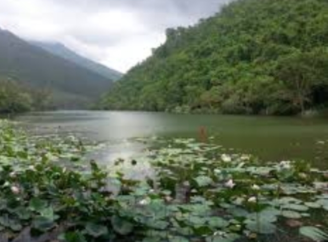 Nahan Town and Bazaar